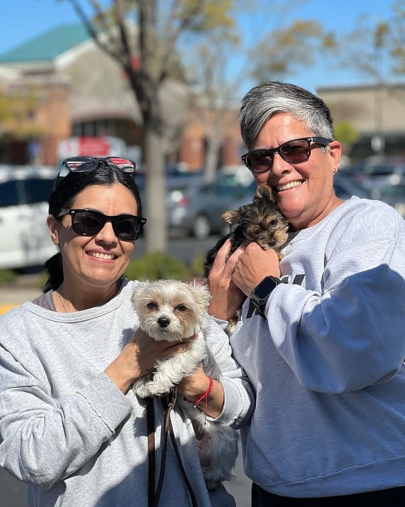 Two women are holding two small dogs in their arms.
