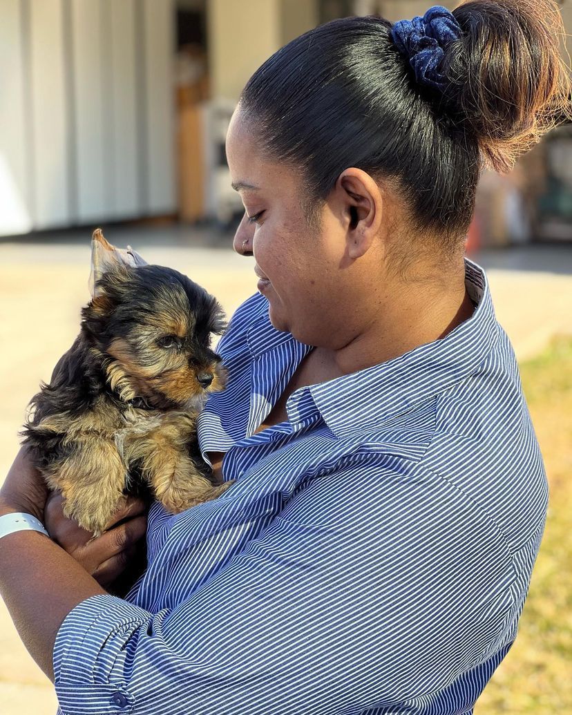 A woman is holding a small dog in her arms.