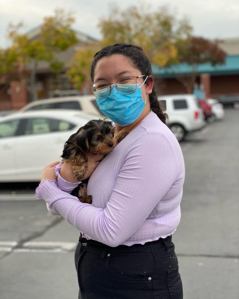 A woman wearing a mask is holding a small dog in her arms.