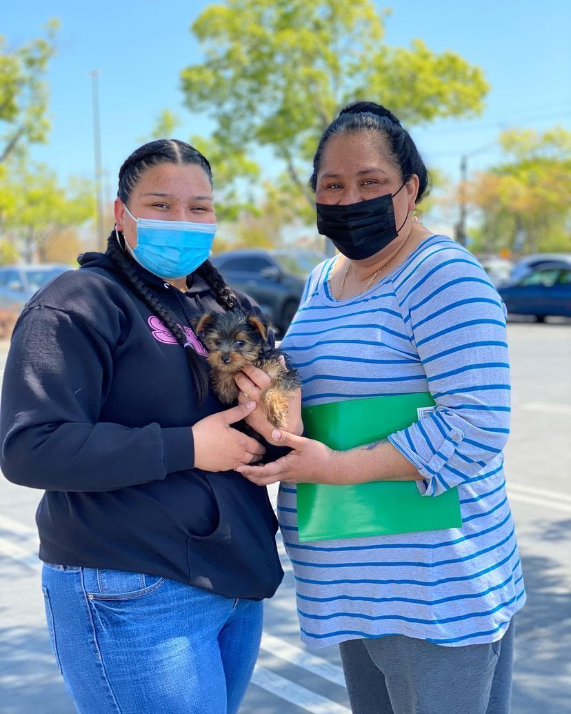 Two women wearing face masks are holding a puppy in a parking lot.