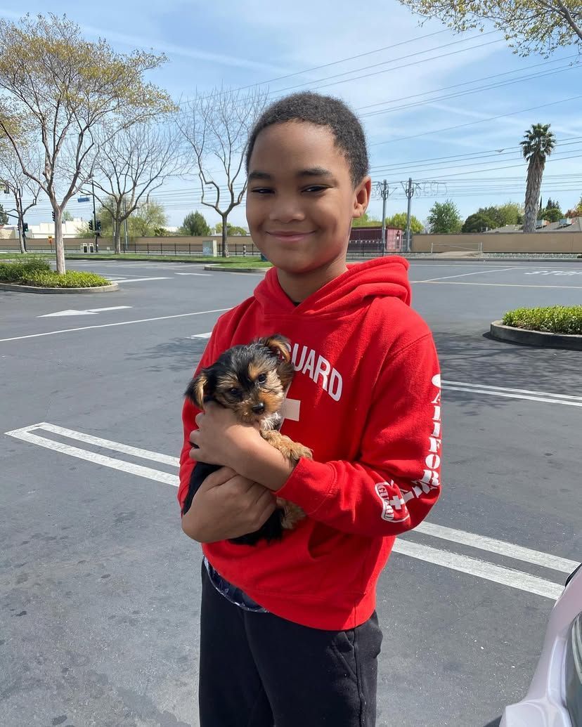 A young boy in a red hoodie is holding a puppy in his arms.