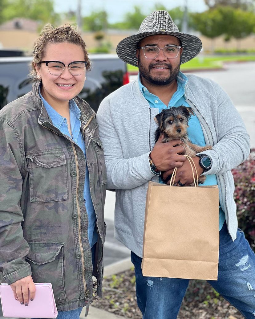 A man and a woman are standing next to each other holding a small dog.