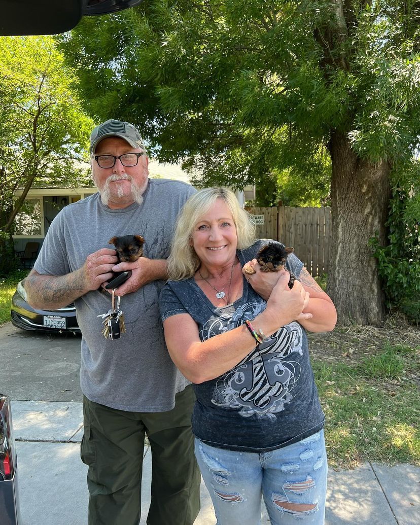 A man and a woman are holding two puppies in their arms.