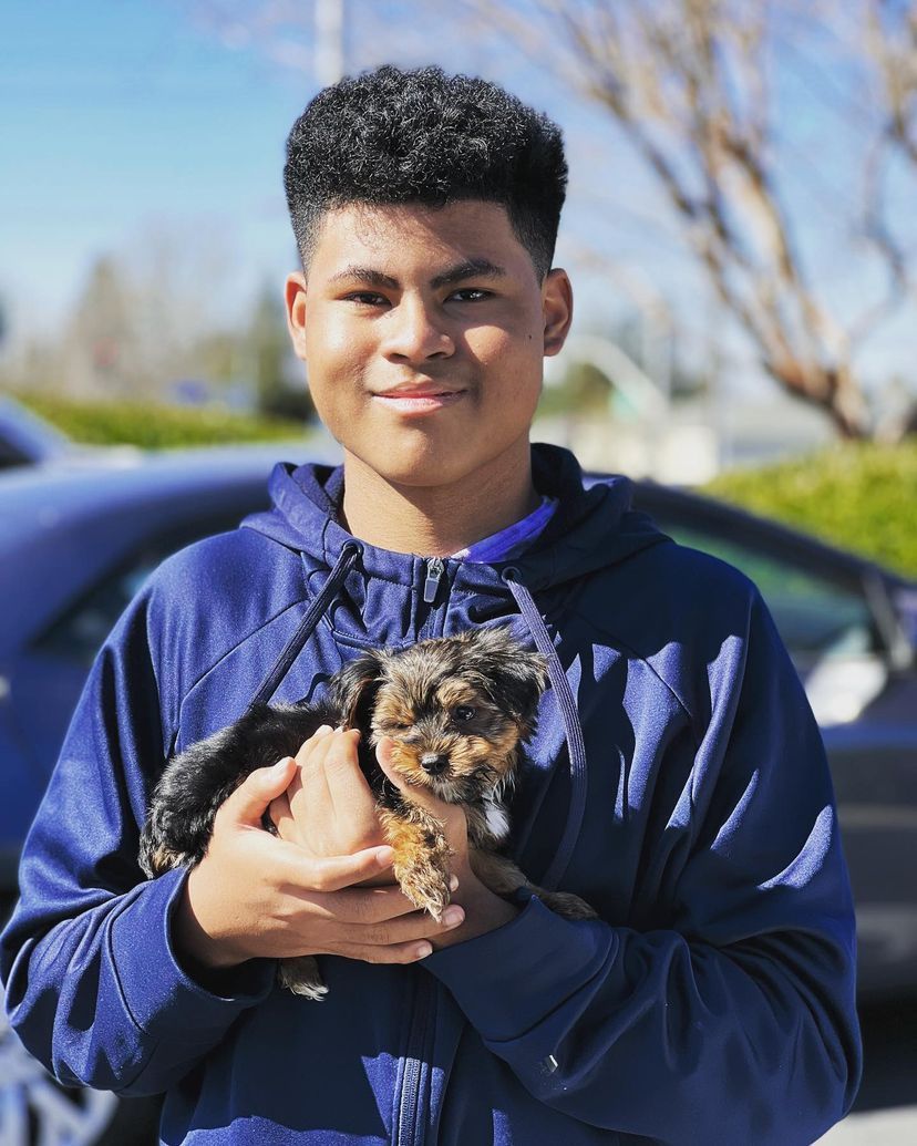 A young man in a blue hoodie is holding a small dog