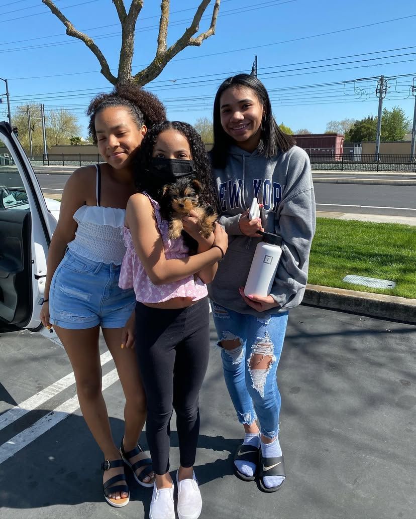 Three girls are standing next to each other in a parking lot holding a dog.