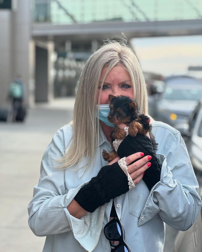 A woman wearing a face mask is holding a small dog.