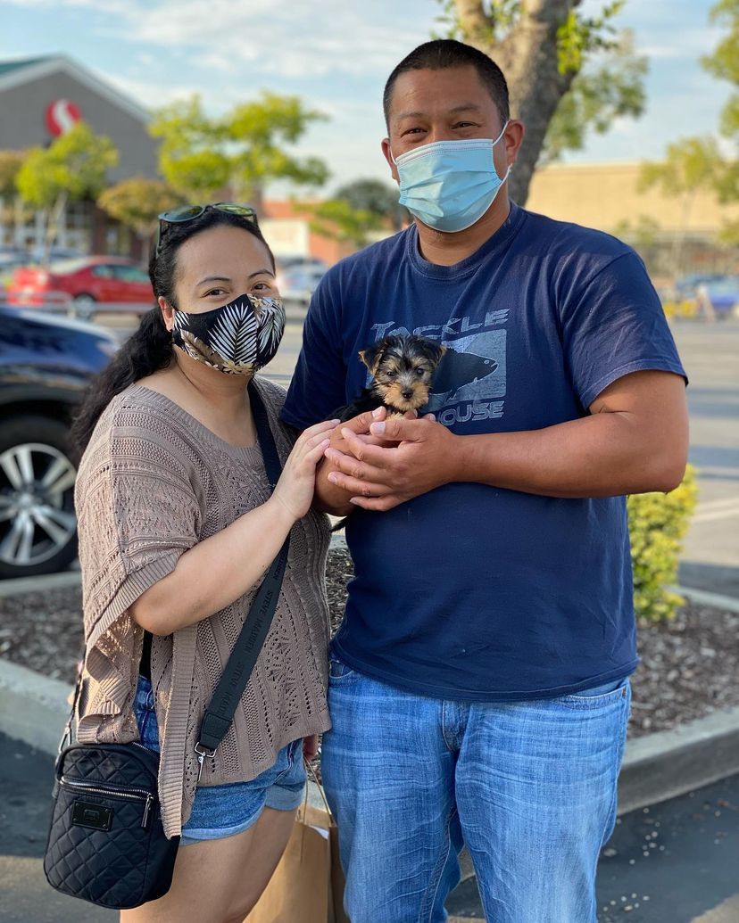 A man and a woman wearing face masks are holding a small dog.