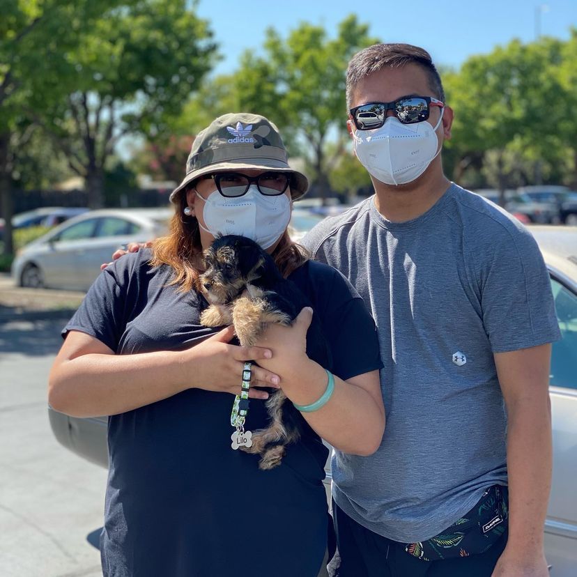 A man and a woman wearing face masks holding a puppy