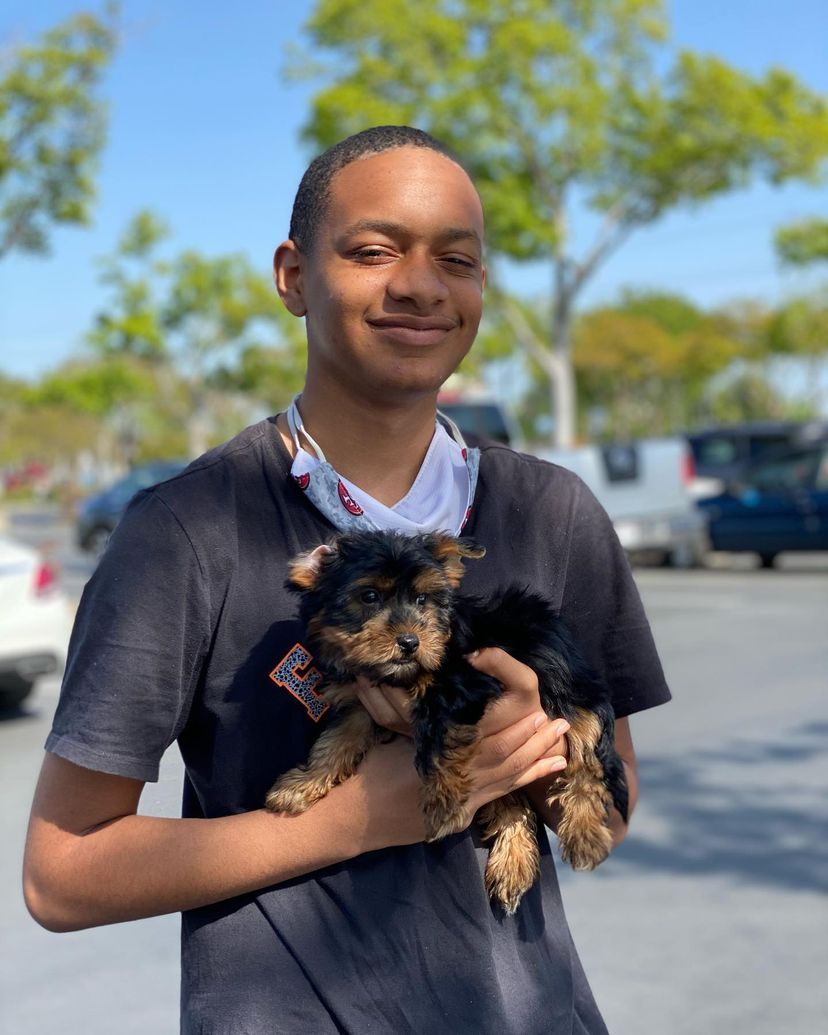A young man is holding a small dog in a parking lot.