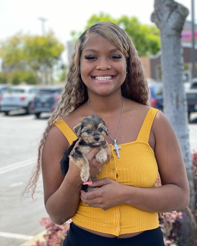 A woman in a yellow tank top is holding a puppy in her arms.