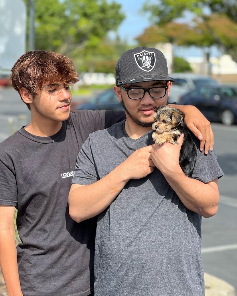 Two young men are holding a puppy in a parking lot.