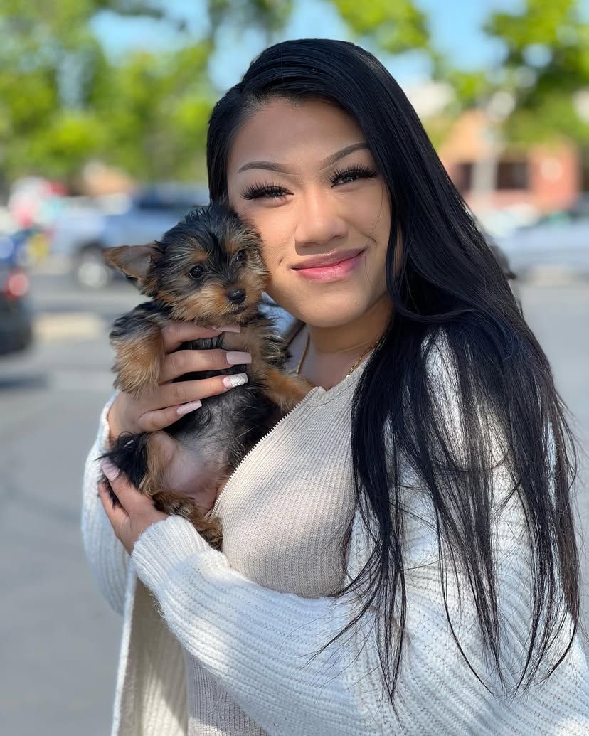A woman is holding a small dog in her arms.