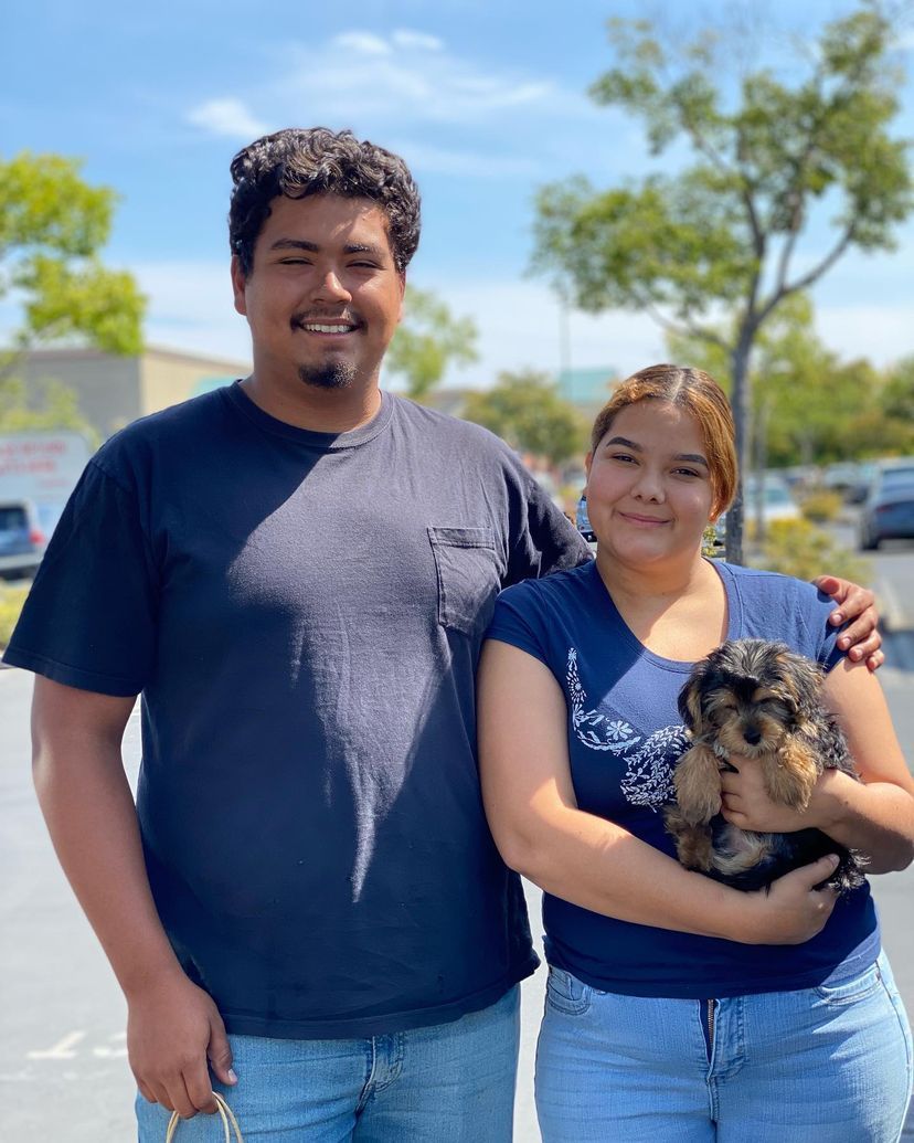 A man and a woman are standing next to each other holding a small dog.