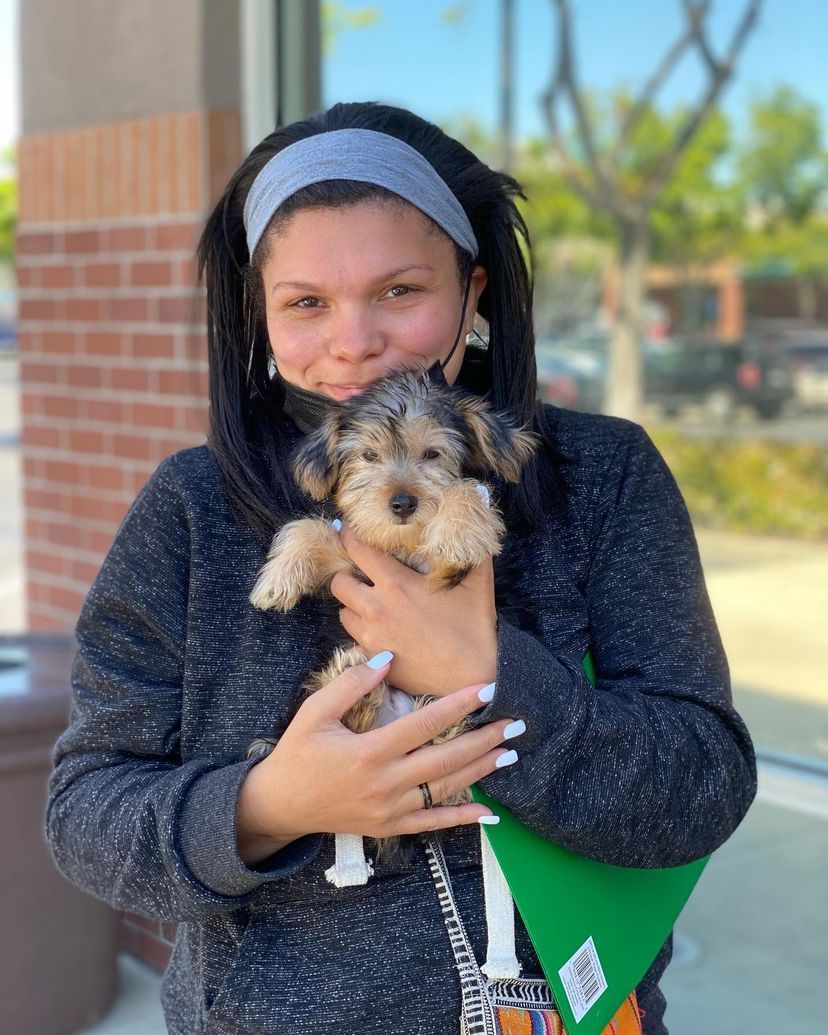A woman is holding a small dog in her arms.