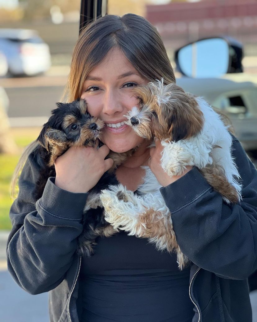A woman is holding two small puppies in her arms.