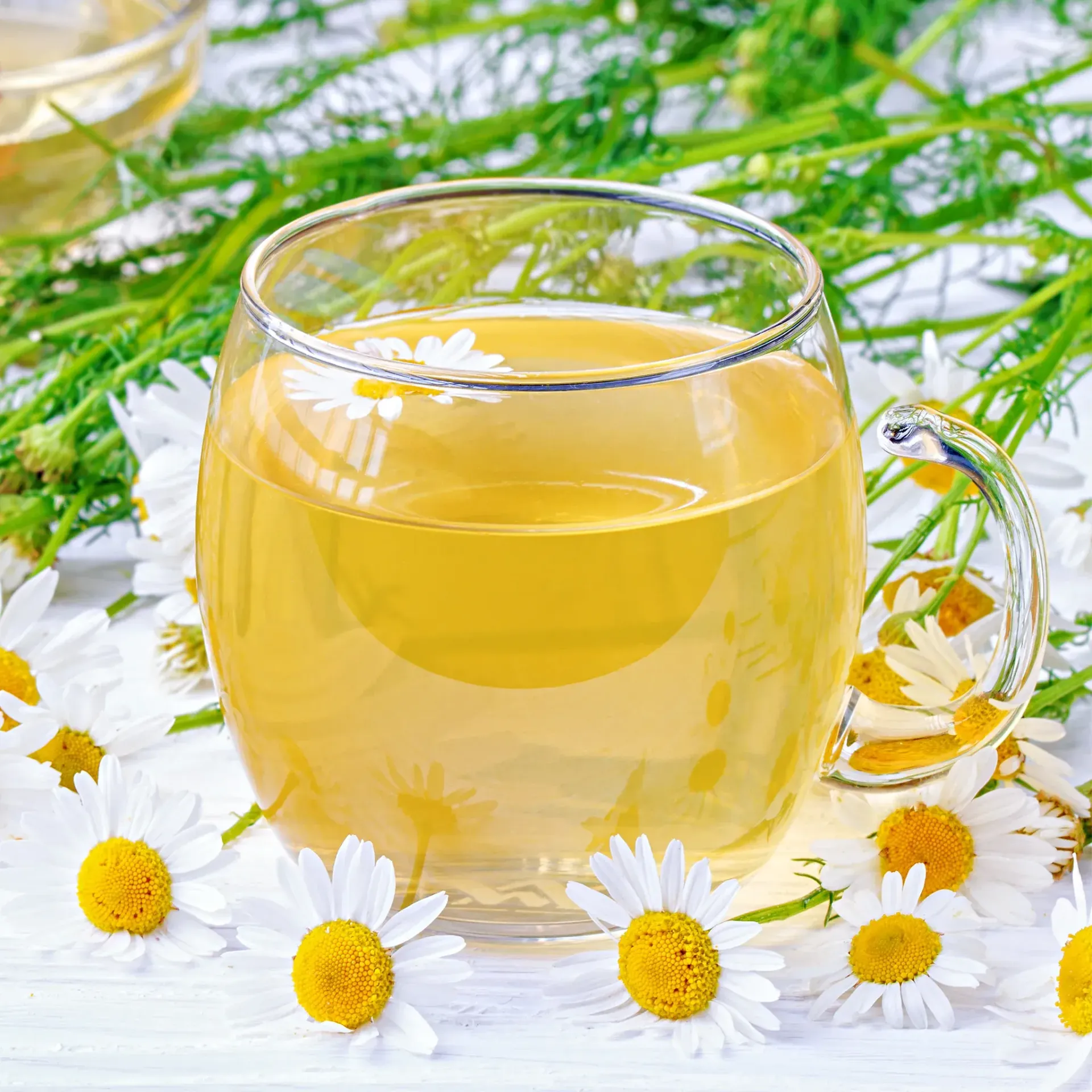 A glass of chamomile tea surrounded by daisies on a table.