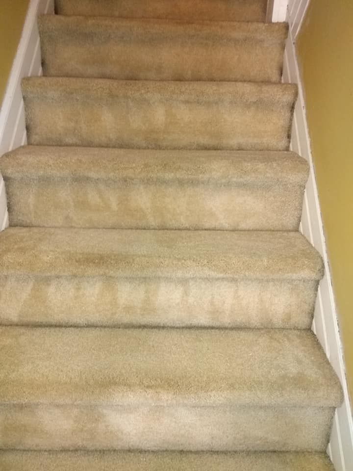 Beige carpeted staircase viewed from the bottom, leading upward indoors.