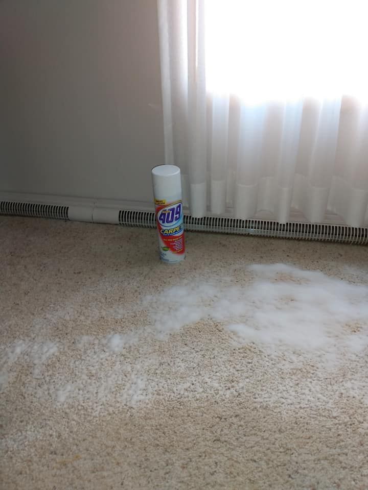 Can of 409 cleaner on beige carpet near a bright window, with white residue on the floor