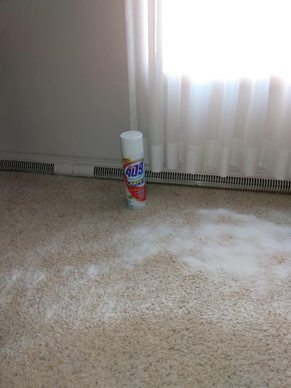 Can of cleaner standing on carpet near a bright window, with a white powdery spill on the floor
