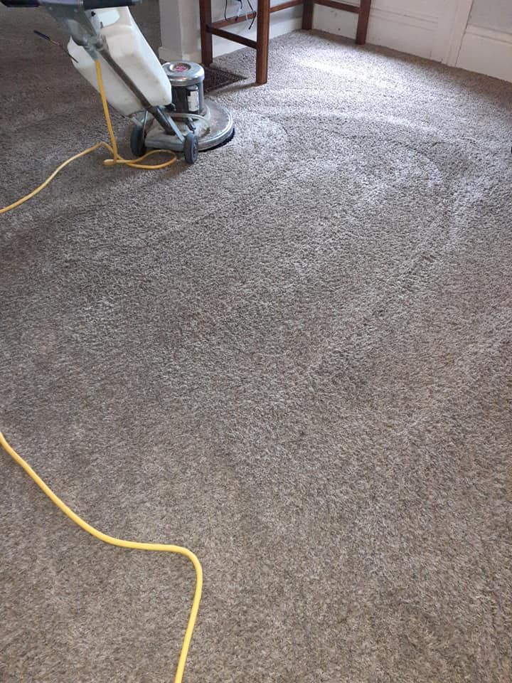Carpet cleaner on a gray carpet with yellow cord in a room