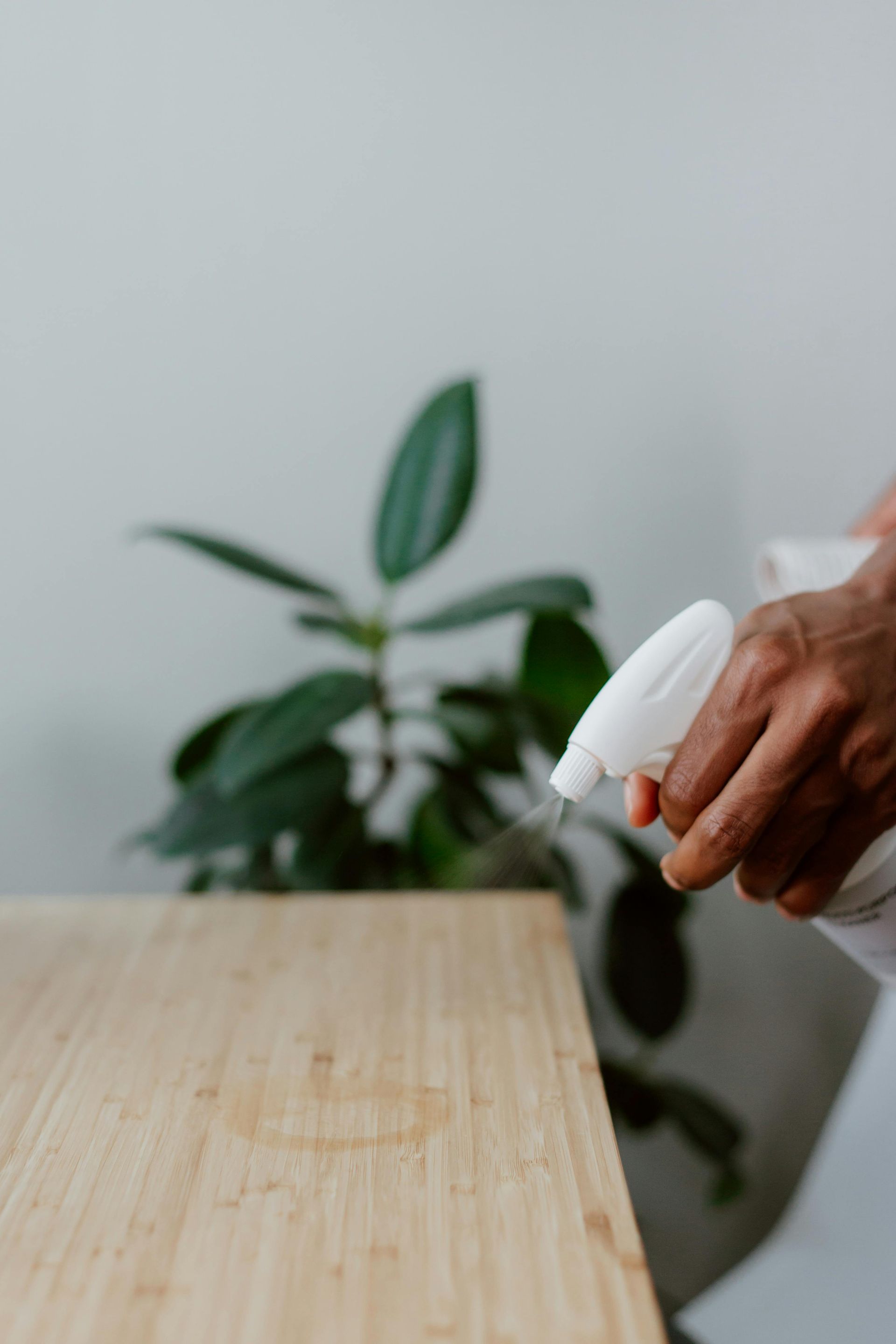 Cleaning Supplies