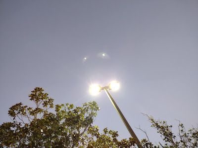 Looking up at a street light with trees in the background