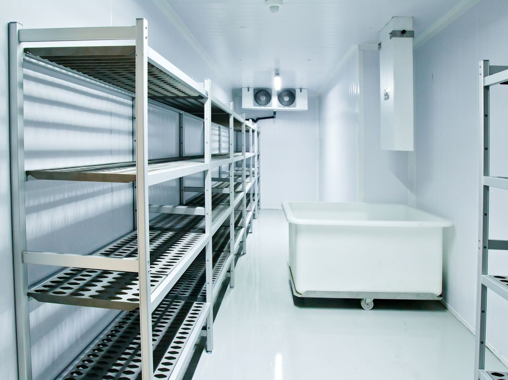 Inside a cold storage room, stainless steel shelves line the walls. A white tub sits on the floor.
