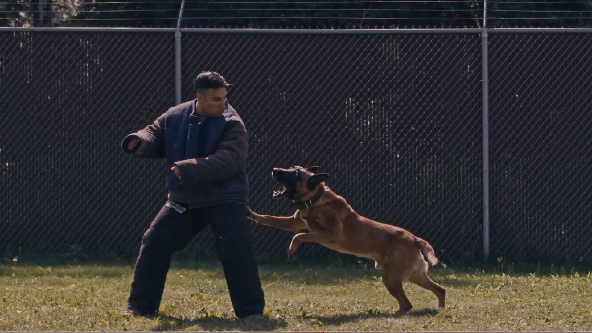 A man is playing with a dog in a field.