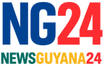 NG24 news logo: Blue