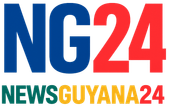 NG24 news logo: Blue