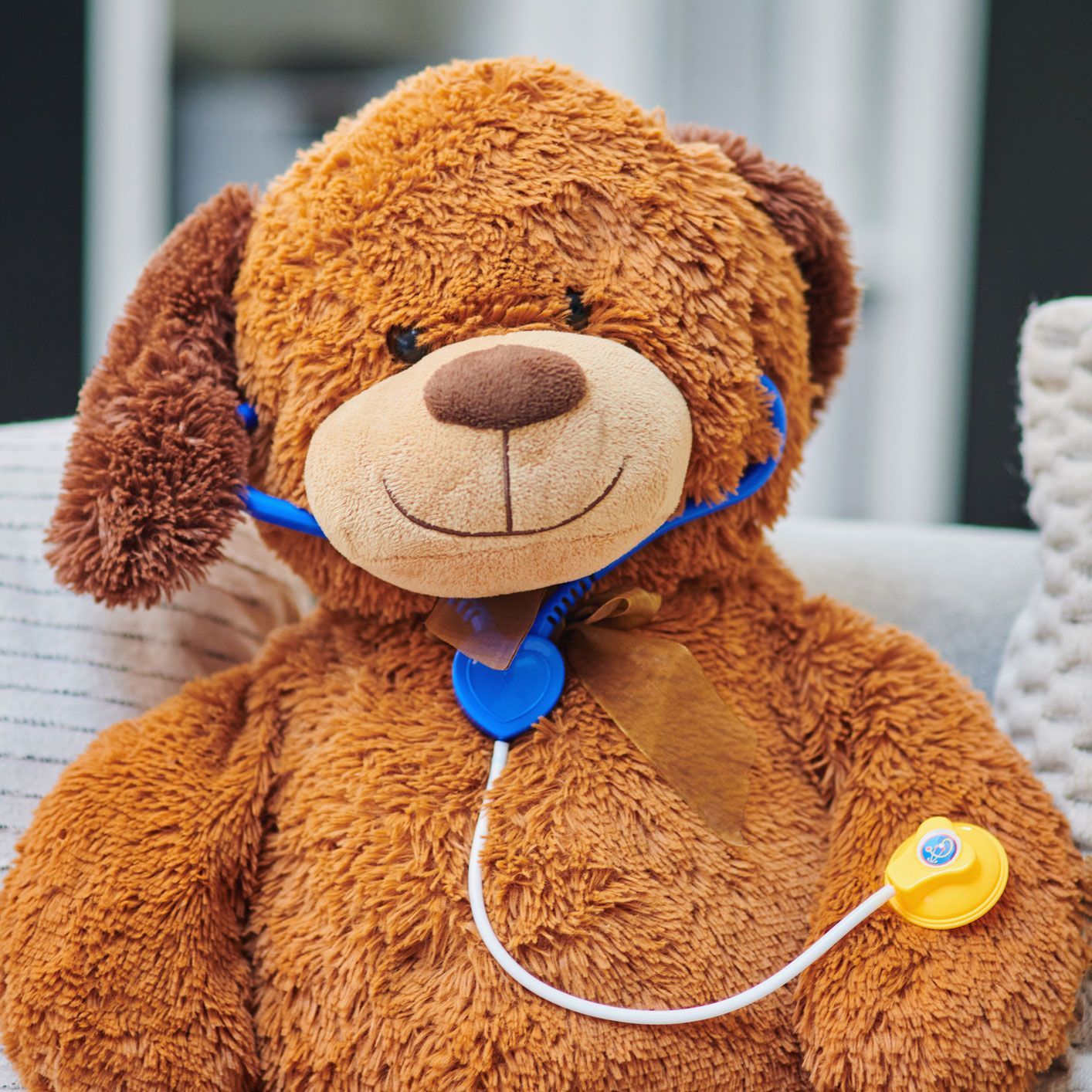 Stuffed Toy | Anchorage, AK | James D. Briggs MD Stuffed Toy | Anchorage, AK | James D. Briggs MD