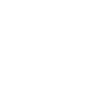 A white background with Nervous System-First logo on it