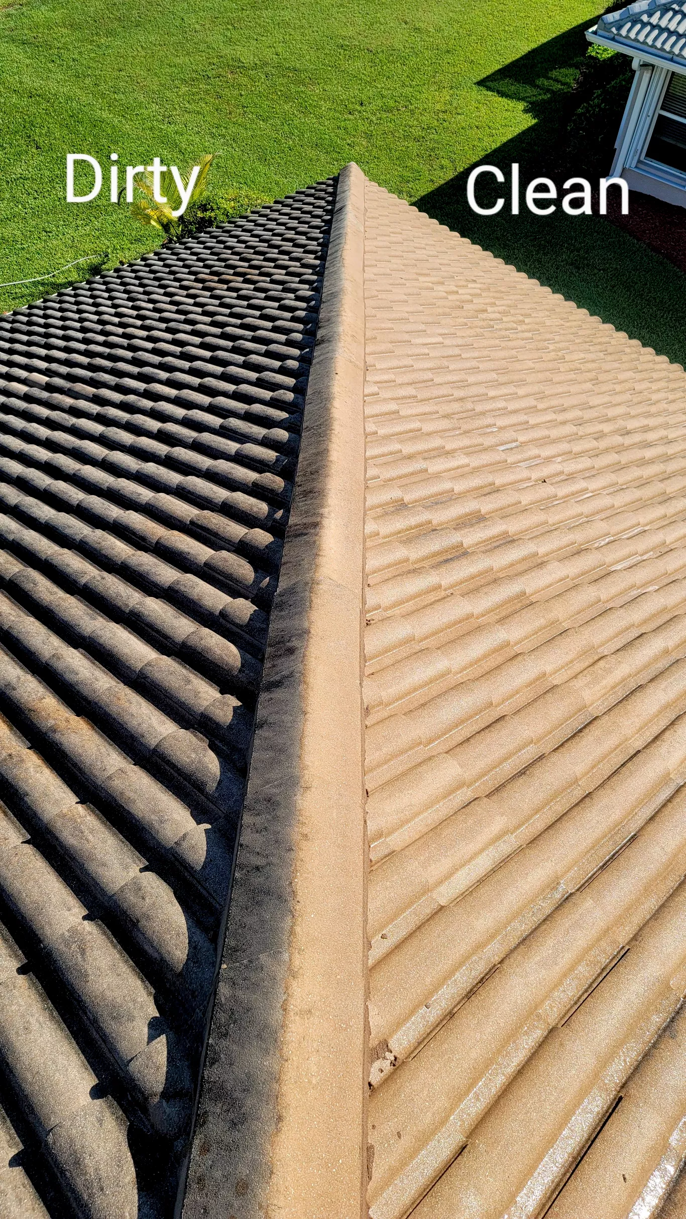 A dirty roof and a clean roof are shown side by side.