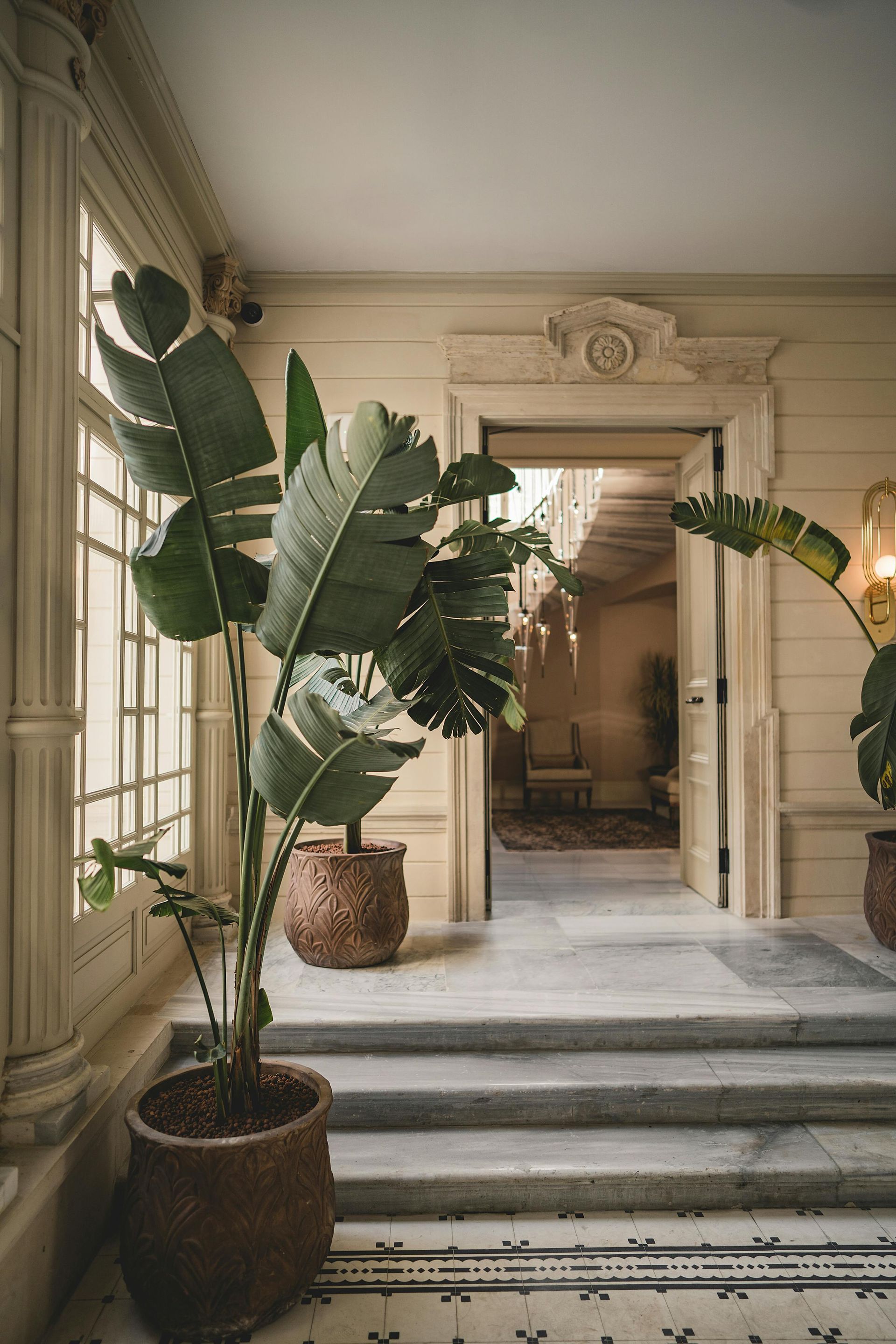 Hallway with potted plants, marble steps, and doorway to another room. Sunlight streams in.