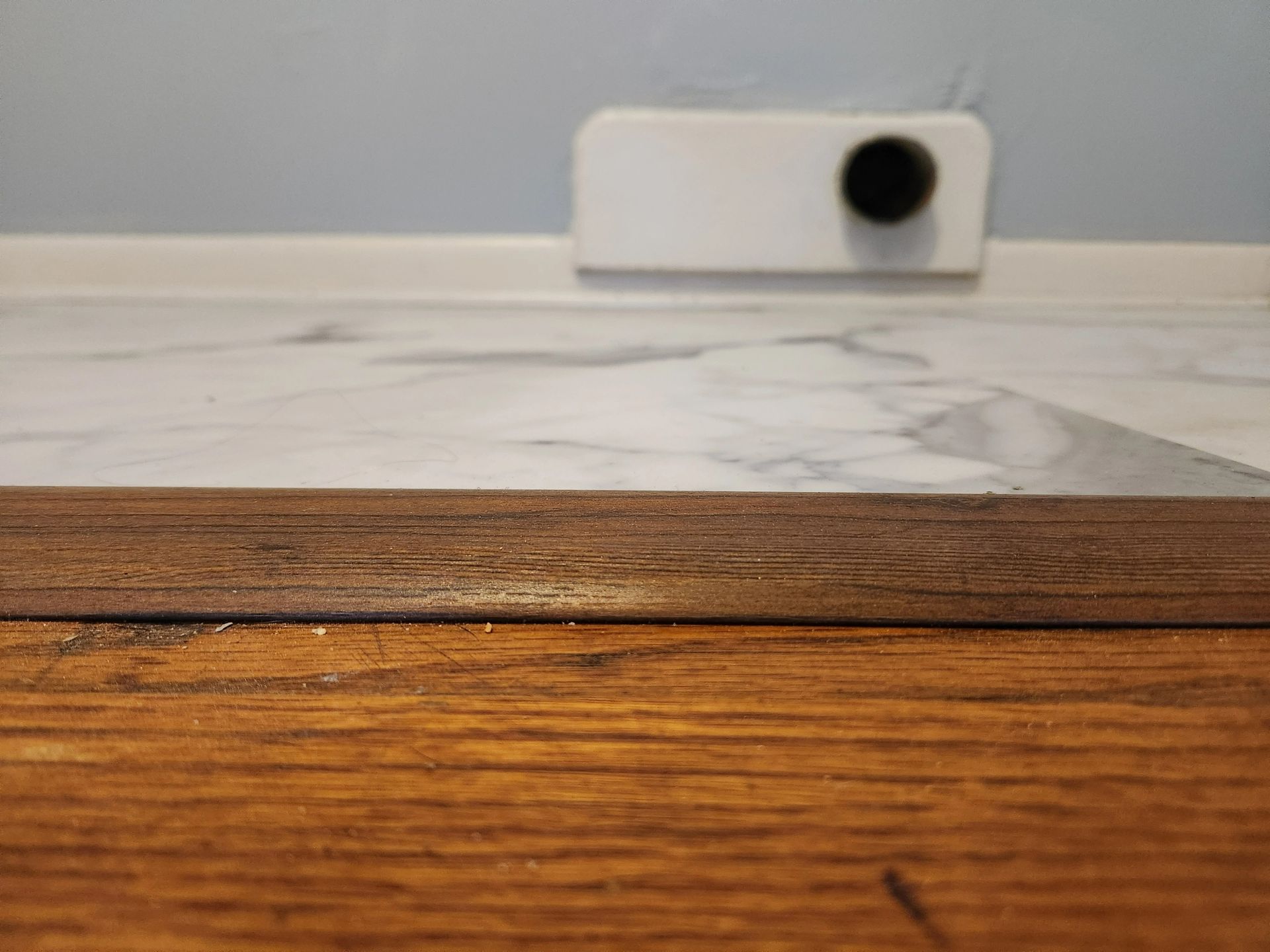 Buffalo Duck gallery