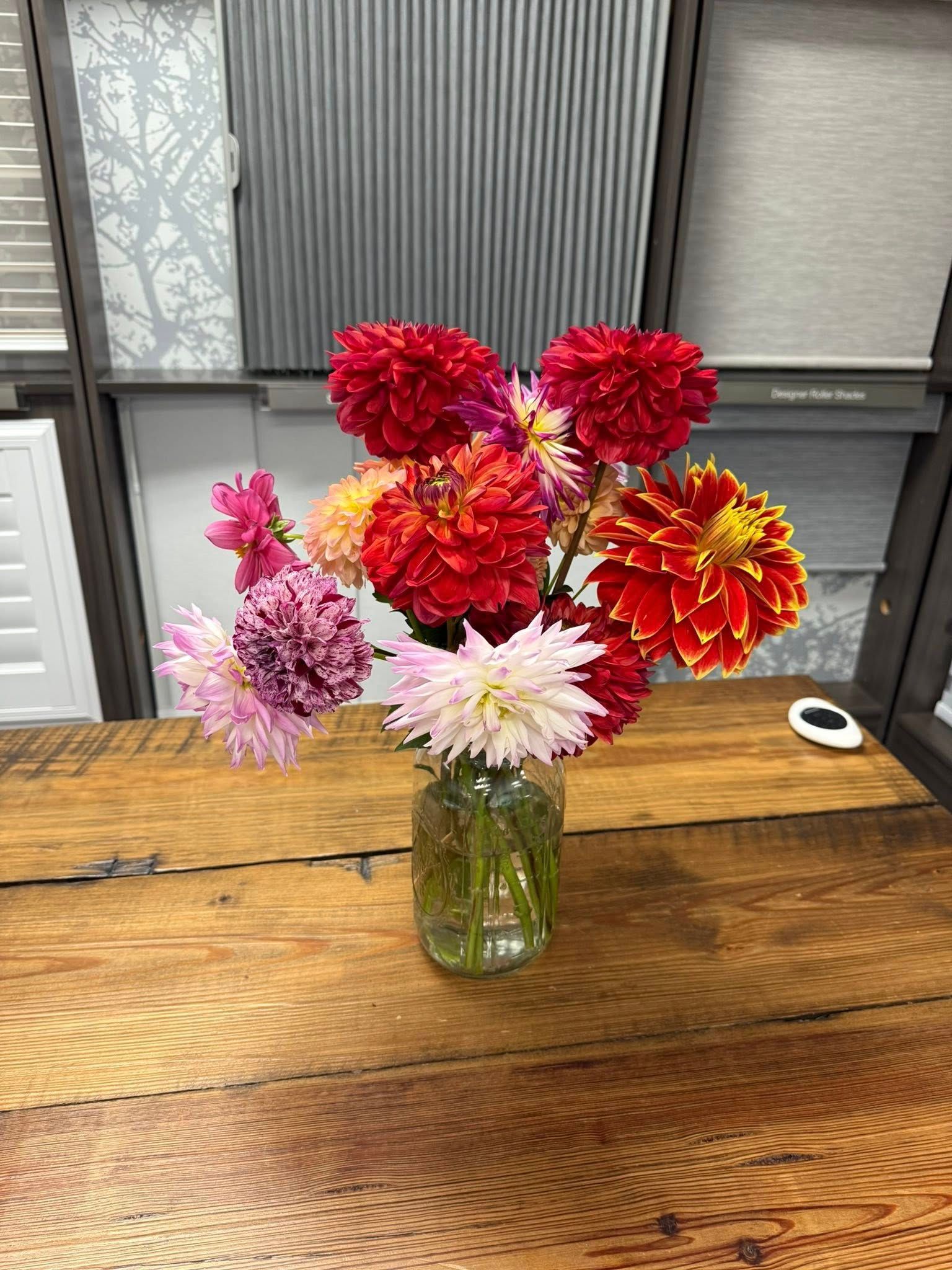 Bouquet of colorful dahlias in a clear jar on a wooden table, against a backdrop of window treatment samples.