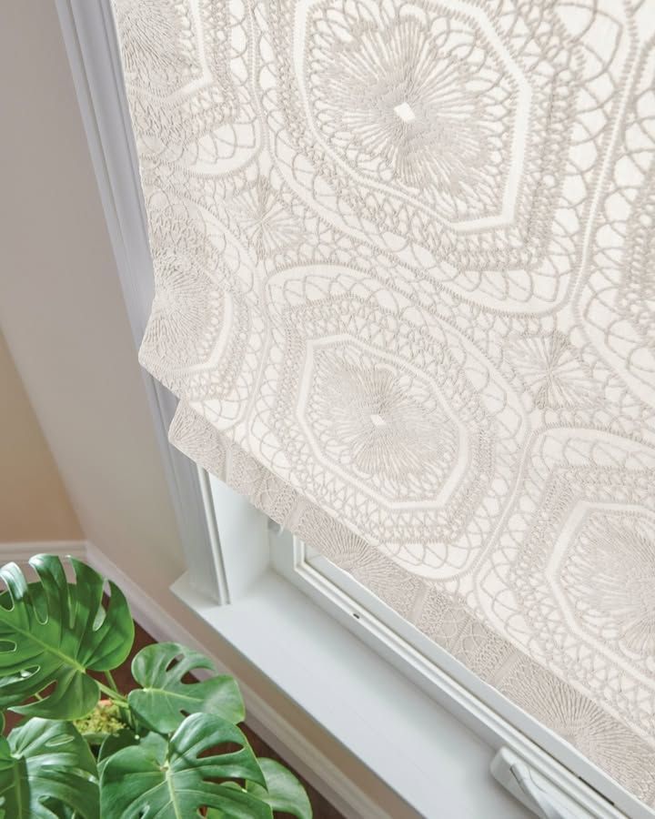 Window with patterned roman shade and a Monstera plant.