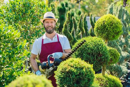 A man is cutting a bush with a hedge trimmer in a garden.