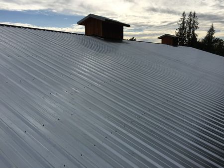 Rooftop Under Large Evergreen Tree - Wilsonville, OR - Next Generation Roofing