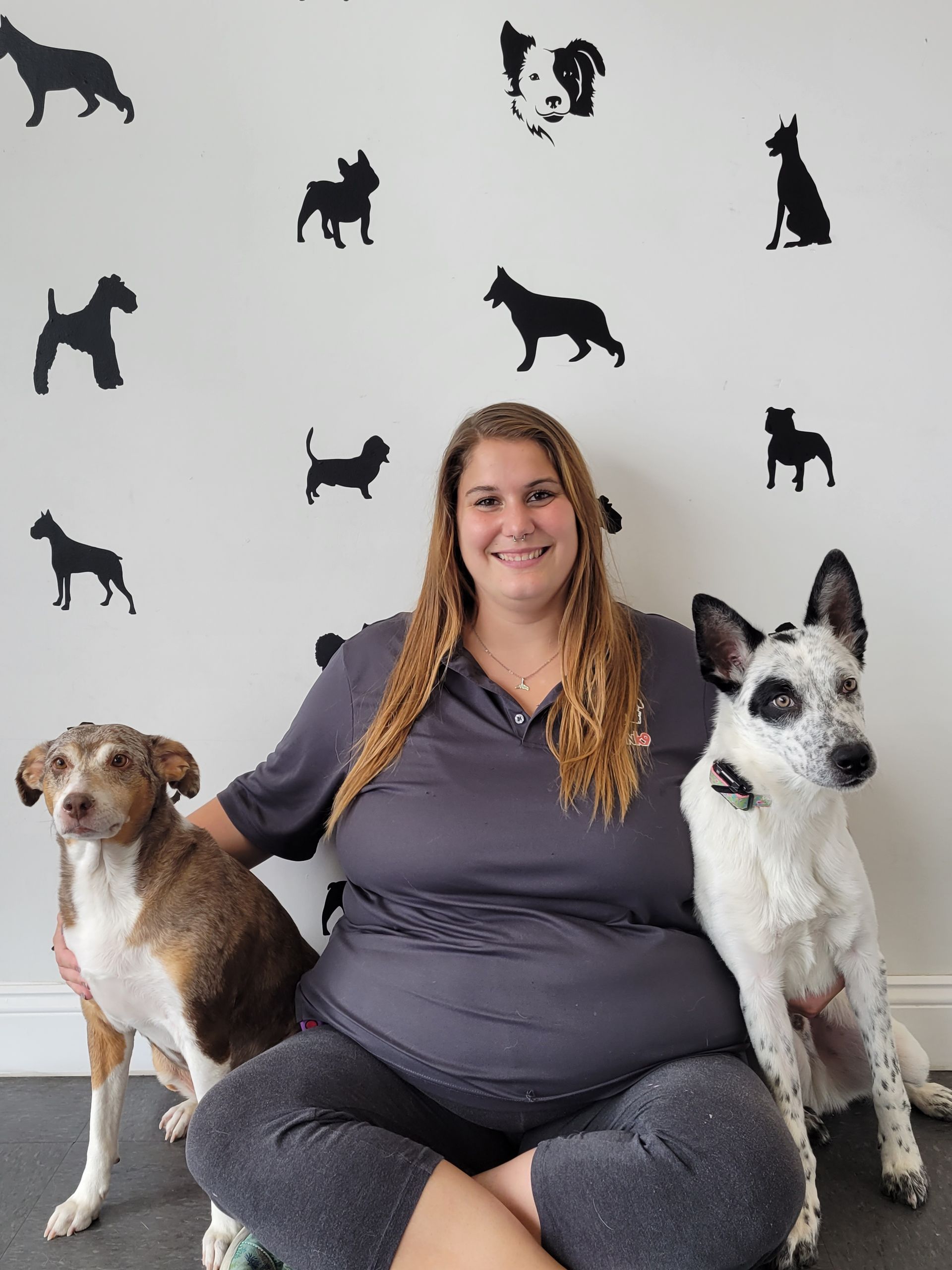Trainor with Dogs — Clermont, FL — Buena Vista Dog Training
