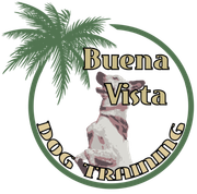 A logo for buena vista dog training with a palm tree in the background