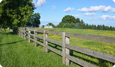 a wooden fence surrounds a grassy field with trees in the background .