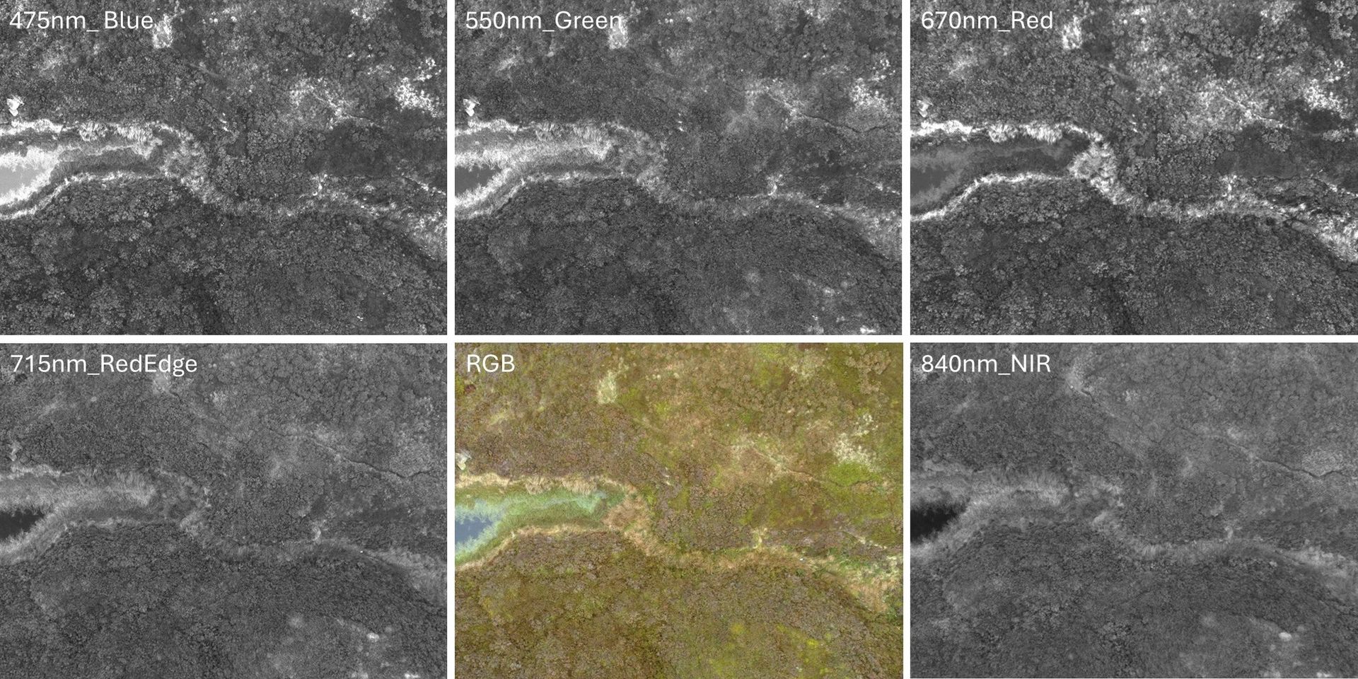 Multispectral data from a Clogworks Dark Matter drone with the Sentera 6X Multispectral Sensor
