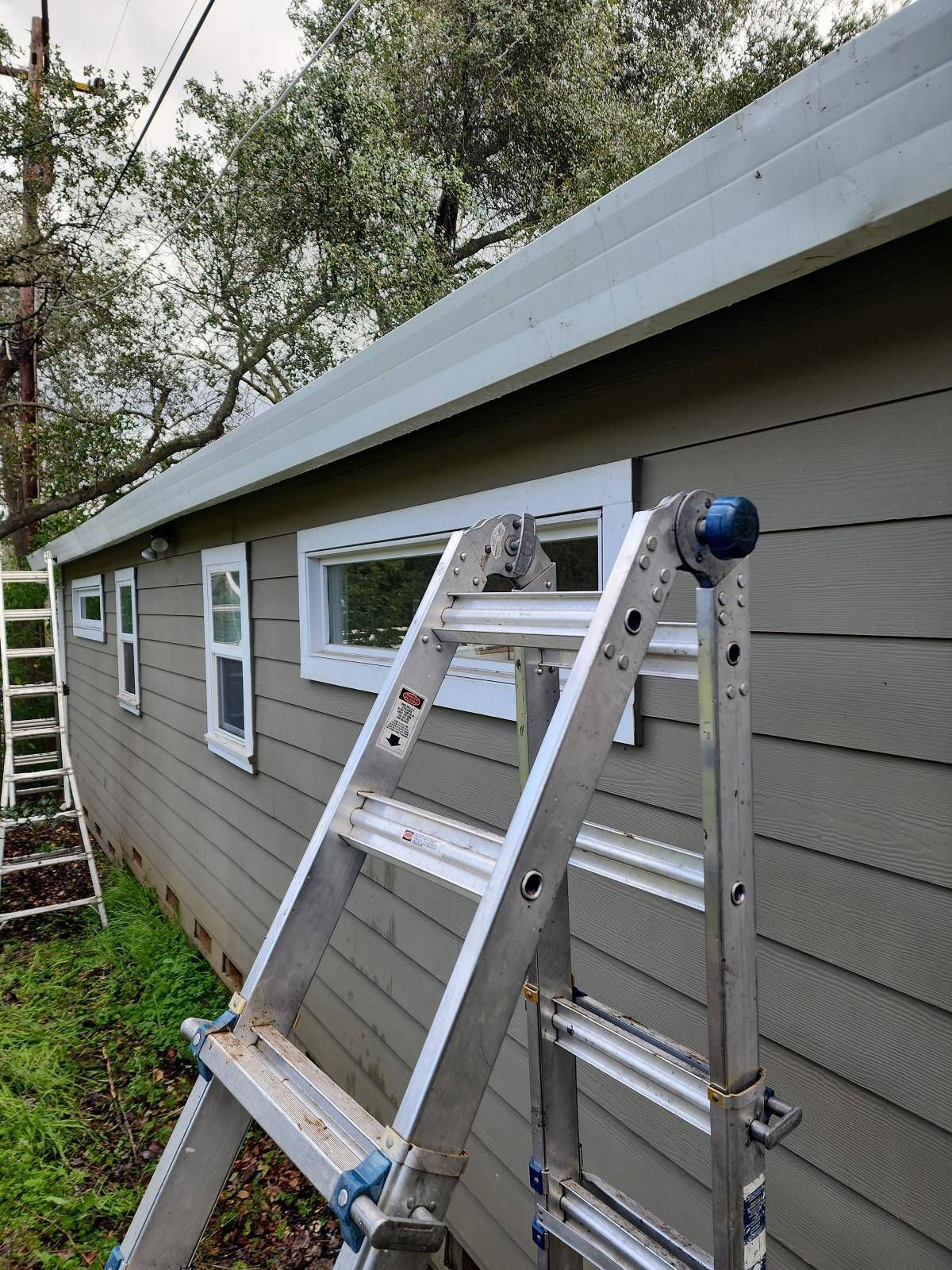 Ladder leaning against a gray building with windows.