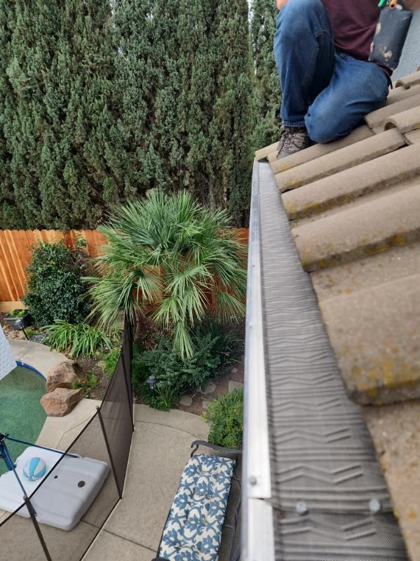 Person on a roof cleaning a gutter with a palm tree and a pool in the backyard.