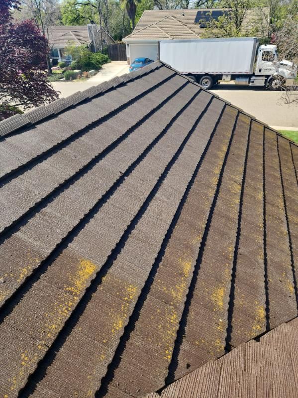 A brown roof with yellow algae, in a residential area, with a truck visible.
