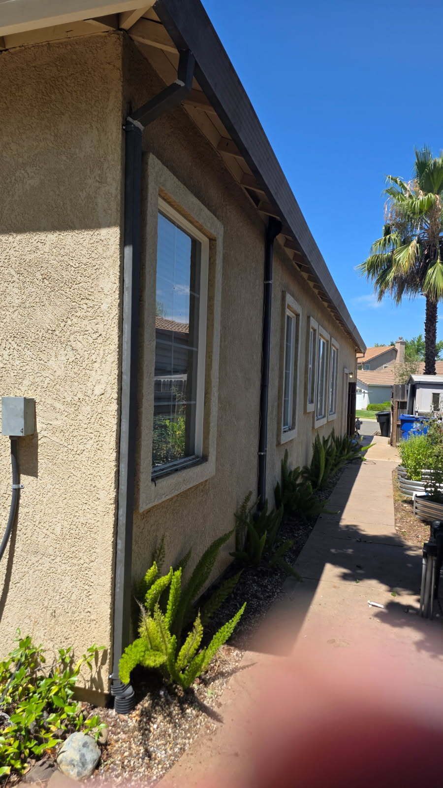 Side view of a beige stucco building with black trim and windows, sidewalk, and plants on a sunny day.