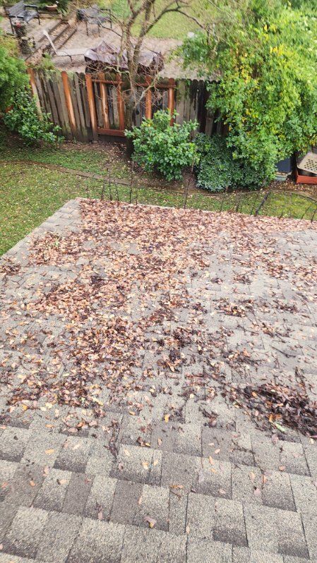 Roof covered with fallen leaves; backyard with fence and foliage visible in the background.