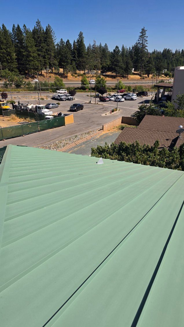 Green roof with parking lot and trees in the background under a blue sky.