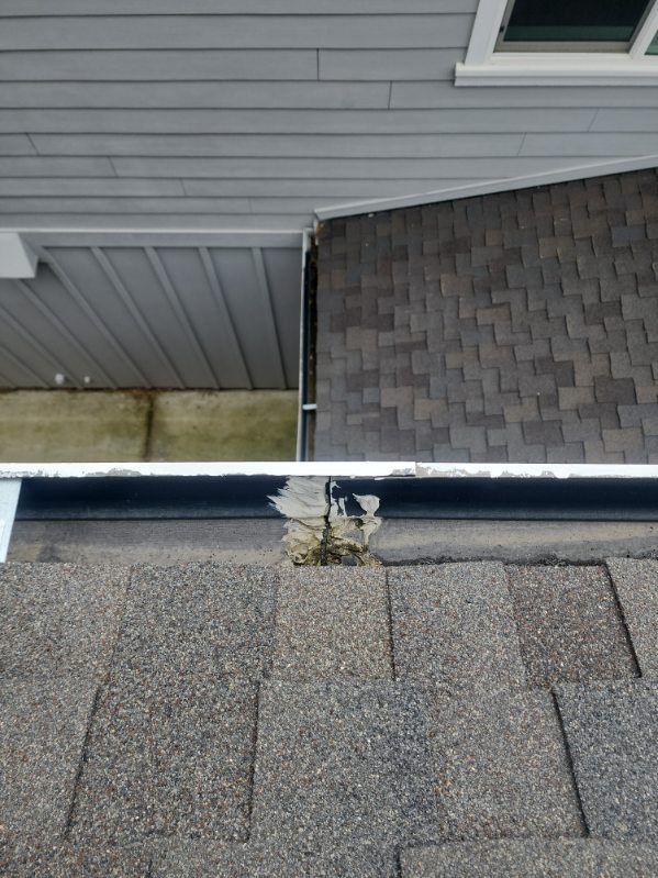 Section of a roof with shingles and gutter, near siding and a wall.